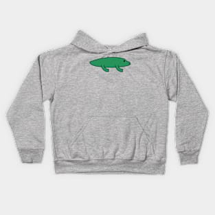 Cute Kawaii Alligator Kids Hoodie